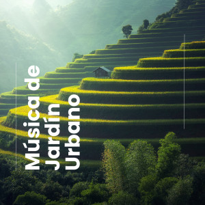 อัลบัม Música de Jardín Urbano ศิลปิน Mia Paleta