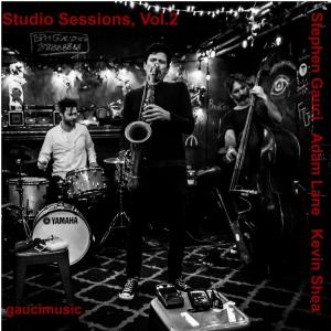 Stephen Gauci的专辑Studio Sessions, Vol. 2 (feat. Adam Lane and Kevin Shea)