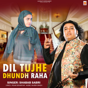 Dengarkan lagu Dil Tujhe Dhundh Raha nyanyian Shabab Sabri dengan lirik