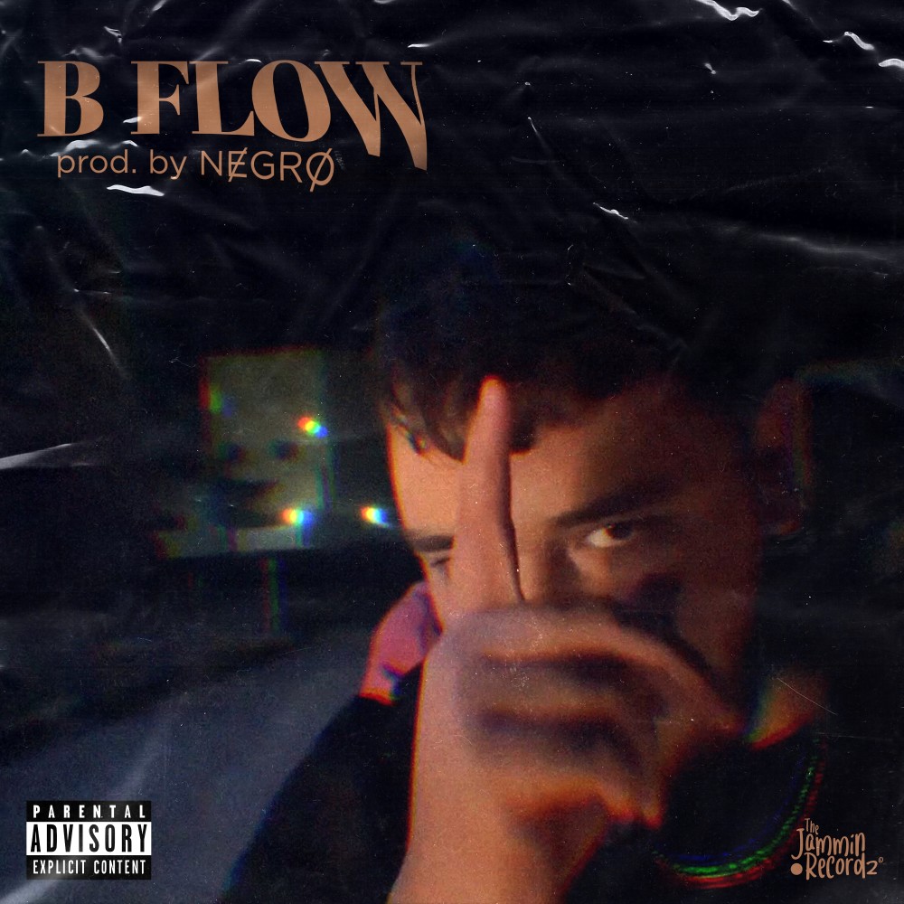 B Flow (Explicit)