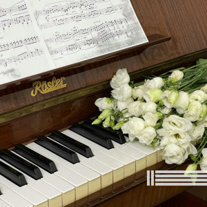 Peaceful Piano Temple的專輯Sleeping Piano