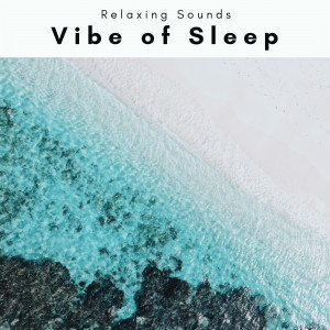 Memorable的專輯1 Vibe of Sleep