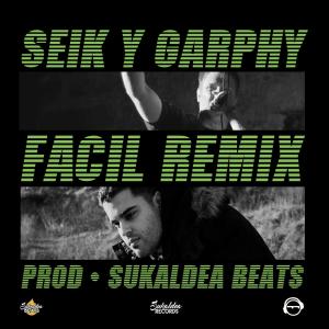 Listen to Fácil (Sukaldea Beats Remix|Explicit) song with lyrics from Seik
