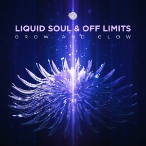 ดาวน์โหลดและฟังเพลง Grow & Glow พร้อมเนื้อเพลงจาก Liquid Soul