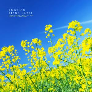 Listen to Walk The Path Of Faint Memories song with lyrics from Monologue
