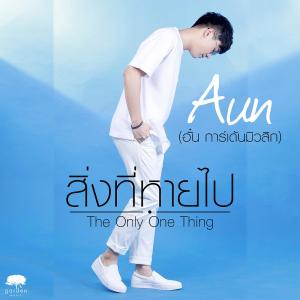 อัลบัม สิ่งที่หายไป (The only one thing) - Single ศิลปิน Aun Garden Music
