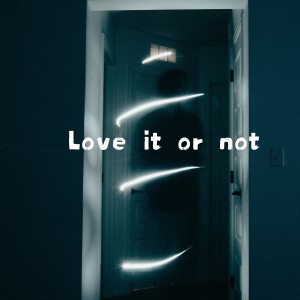 竹君的专辑Love it or not