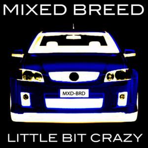ดาวน์โหลดและฟังเพลง Bad Touch พร้อมเนื้อเพลงจาก Mixed Breed