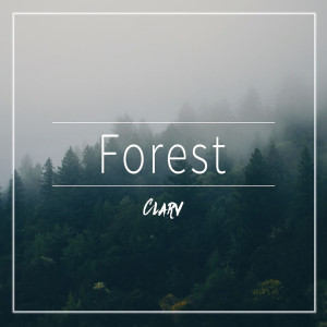 收聽Clarv的Forest歌詞歌曲