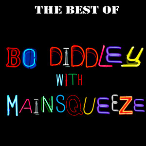 ดาวน์โหลดและฟังเพลง You Can't Judge a Book By It's Cover พร้อมเนื้อเพลงจาก Bo Diddley With Mainsqueeze