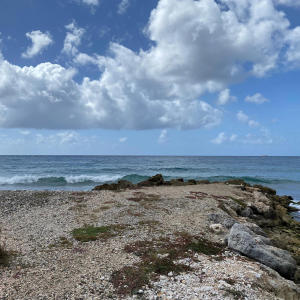 ดาวน์โหลดและฟังเพลง Song from Madeira พร้อมเนื้อเพลงจาก Brandon McCartney