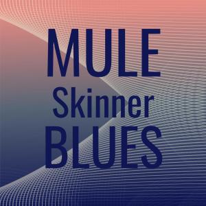 Mule Skinner Blues dari Silvia Natiello-Spiller