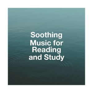 Listen to Torna sorrente song with lyrics from Henri Pelissier