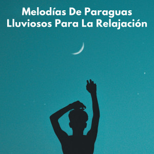 Album Melodías De Paraguas Lluviosos Para La Relajación oleh Musicoterapia Relajante Zen