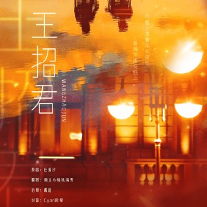 獨立小橋風滿秀的专辑王招君