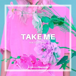 Listen to Take Me song with lyrics from HateBerry