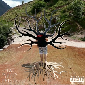 ดาวน์โหลดและฟังเพลง La Belleza De Lo Triste พร้อมเนื้อเพลงจาก Xdgt