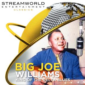 Big Joe Williams的專輯Big Joe Williams King Of The Delta Blues
