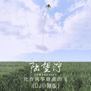 陆望泞的专辑化作风筝肆意的飞  (DJ小刚版)