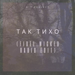 Album Так тихо (Fidel Wicked Radio Edit) from DIP Project