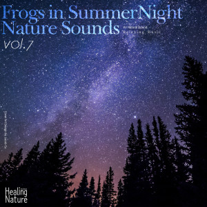 ดาวน์โหลดและฟังเพลง Summer Night Nature Sounds 4 พร้อมเนื้อเพลงจาก 힐링 네이쳐 Nature Sound Band