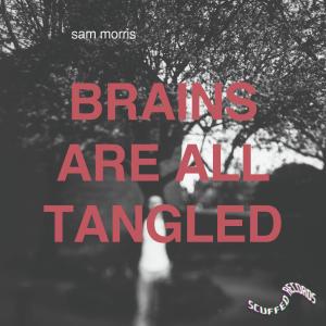 Sam Morris的專輯Brains Are All Tangled (Explicit)