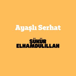 Listen to Şükür Elhamdülillah song with lyrics from Ayaşlı Serhat