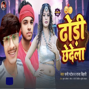 Listen to Dhodi Chedela song with lyrics from Sani Patel
