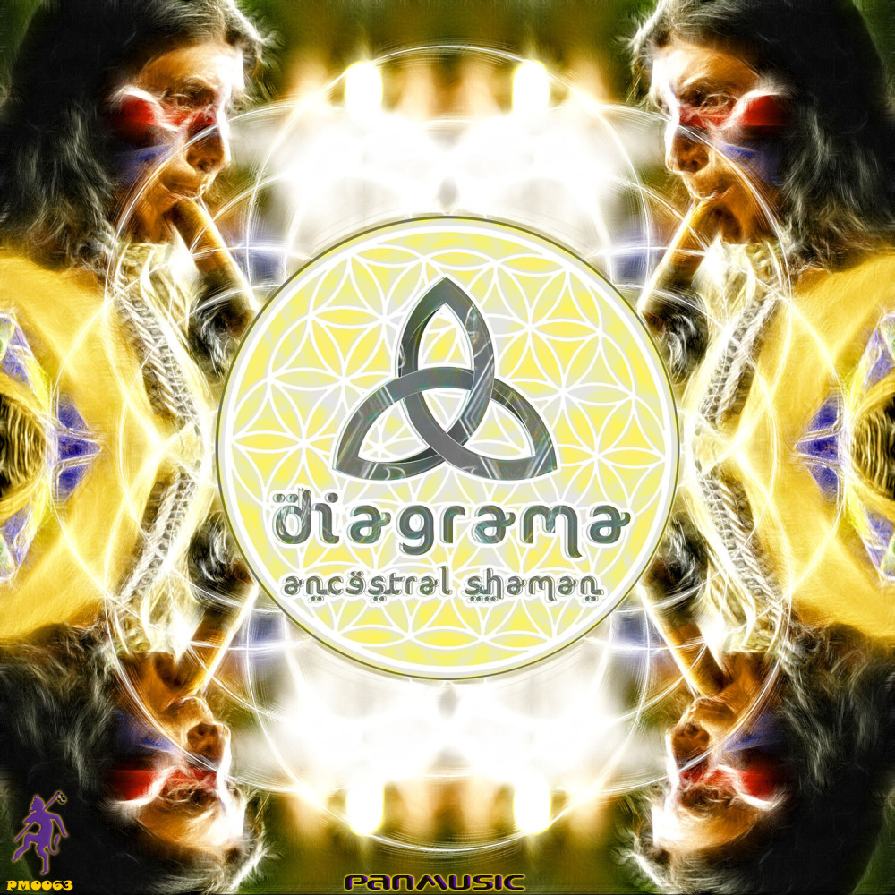 True Hallucinations (Diagrama Remix)
