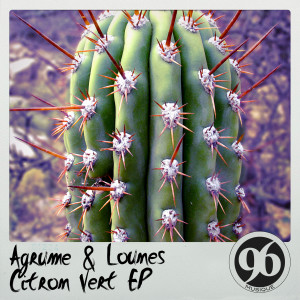 ดาวน์โหลดและฟังเพลง Tendresse พร้อมเนื้อเพลงจาก Agrume