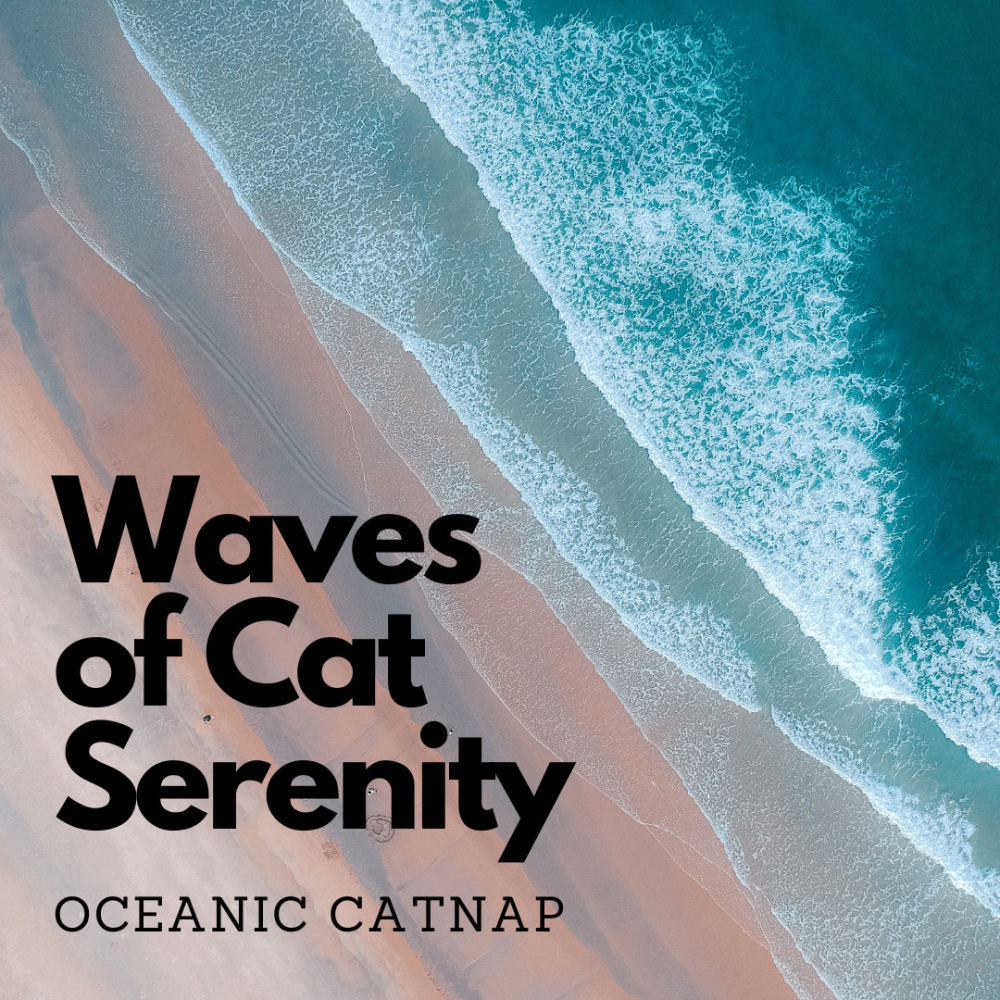 Catnap Waves Feline Serenity by Ocean