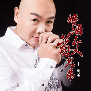 Listen to 好酒敬兄弟（DJ阿圣版） (完整版) song with lyrics from 刘苓