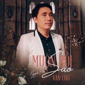Album Muộn Rồi Sao Vẫn Chờ from 