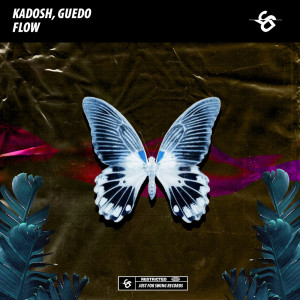 Kadosh的专辑Flow