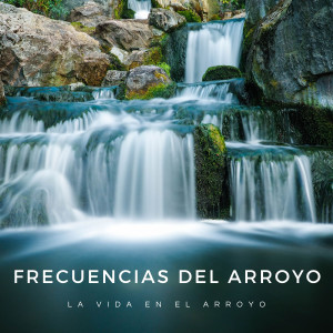 Frecuencias Del Arroyo: La Vida En El Arroyo