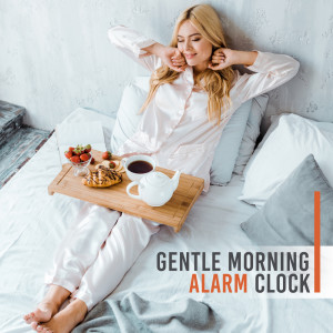 收听Meditation Music Zone的Waking Up Easy歌词歌曲