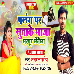 Album Palang Par Sutake from 