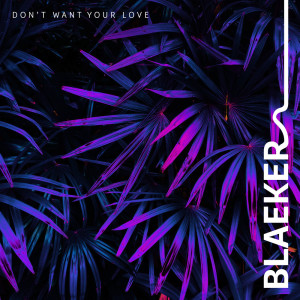 收听BLAEKER的Don't Want Your Love (Instrumental Version)歌词歌曲