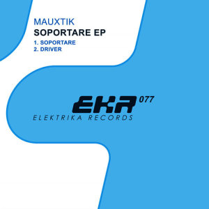 ดาวน์โหลดและฟังเพลง Dubstep Bass (Tool 3) พร้อมเนื้อเพลงจาก Mauxtik