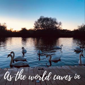ดาวน์โหลดและฟังเพลง As The World Caves In พร้อมเนื้อเพลงจาก Elle Nicole