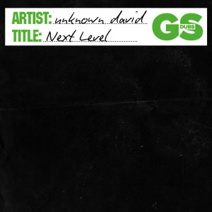 收聽unknown david的Next Level歌詞歌曲