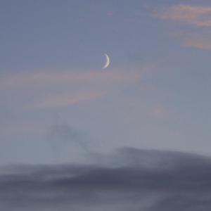Album Pour Turið from Aurora（欧美）