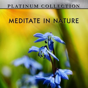 Meditate in Nature