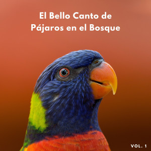 Pájaros del Bosque的专辑El Bello Canto De Pájaros En El Bosque Vol. 1