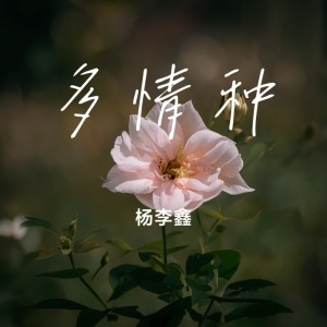 杨李鑫的专辑多情种