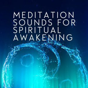 收聽Spiritual Awakening Music的Lotus Flower歌詞歌曲