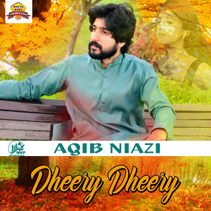 Listen to Dheery Dheery song with lyrics from Aqib Niazi