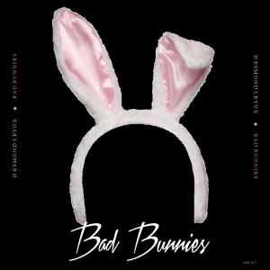 ดาวน์โหลดและฟังเพลง Bad Bunnies พร้อมเนื้อเพลงจาก Desmond Levox