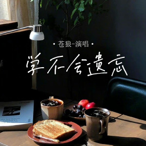 收聽蒼狼的學不會遺忘歌詞歌曲