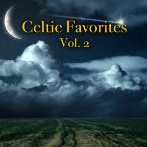 收聽Dublin Ceili Band的Turkey (其他)歌詞歌曲